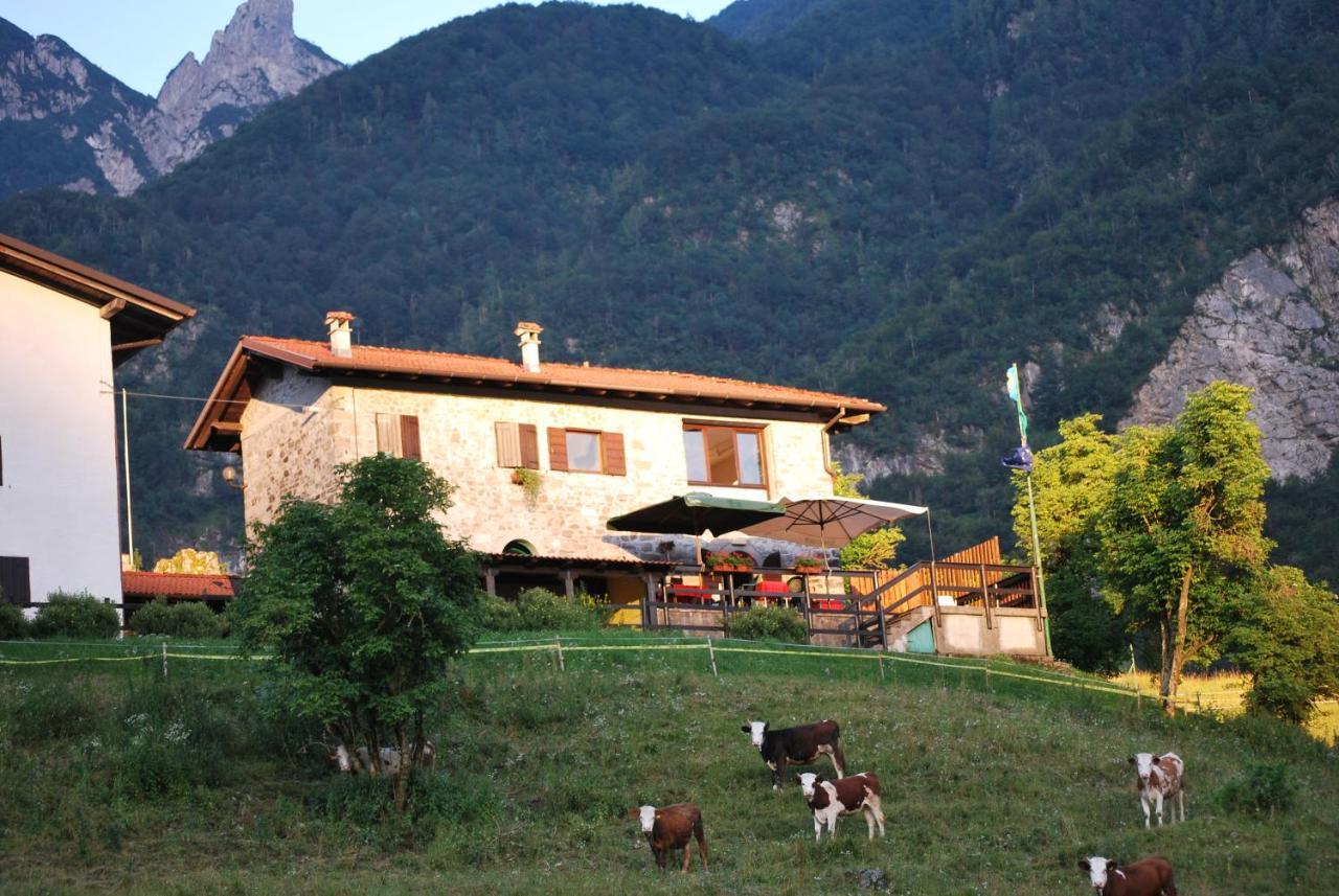 Rifugio Malga Grasia Caprizi 외부 사진