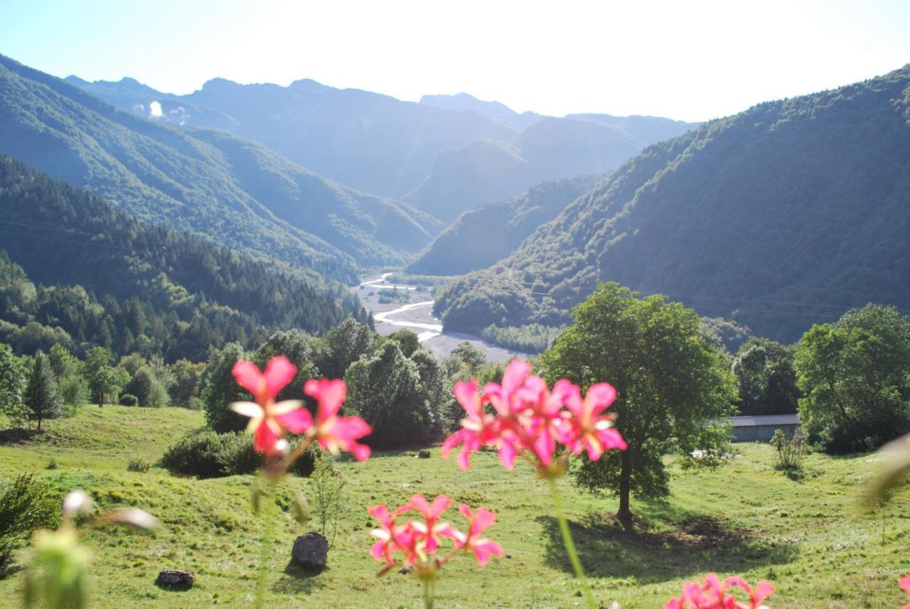 Rifugio Malga Grasia Caprizi 외부 사진