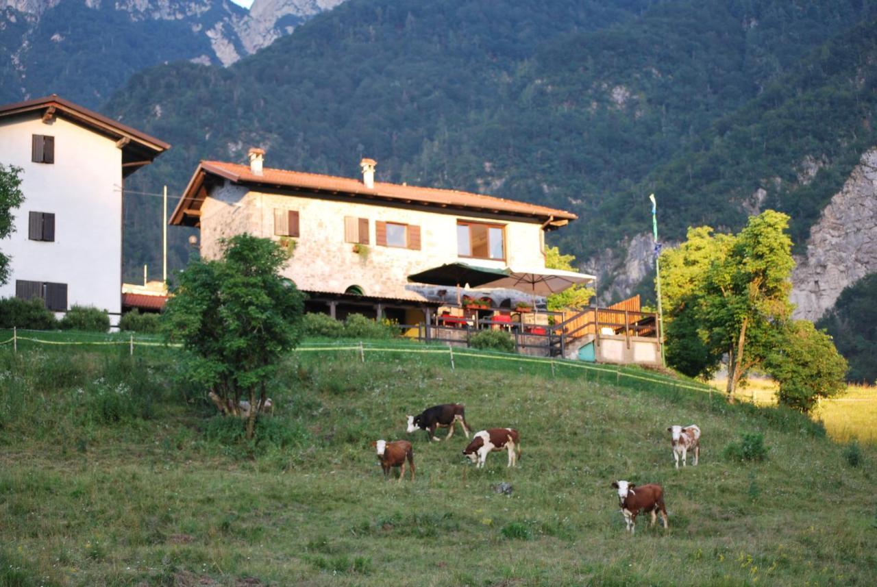 Rifugio Malga Grasia Caprizi 외부 사진