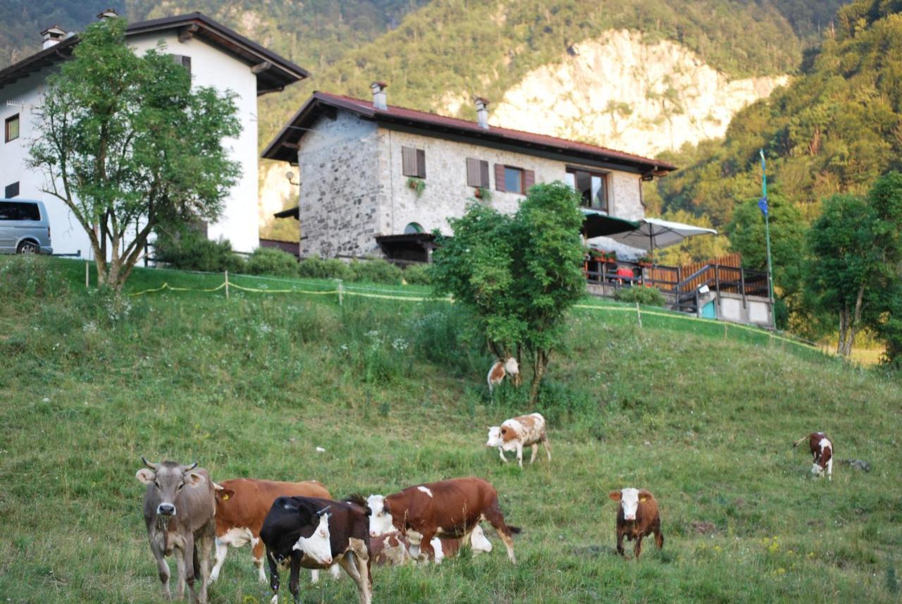 Rifugio Malga Grasia Caprizi 외부 사진