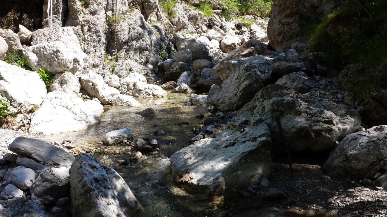 Rifugio Malga Grasia Caprizi 외부 사진